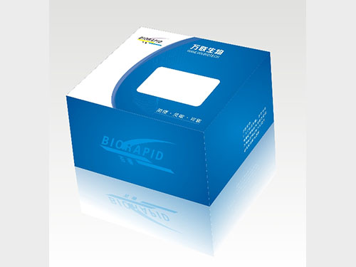 包裝盒、彩盒3